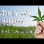 Documentary About Cannabis in the UK