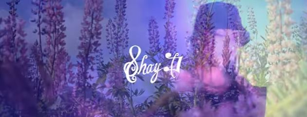 shay-d