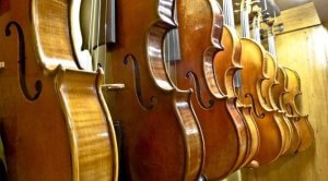 CELLOS